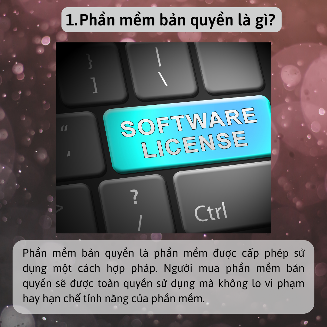 CDS-Ban-tin-so-8-2