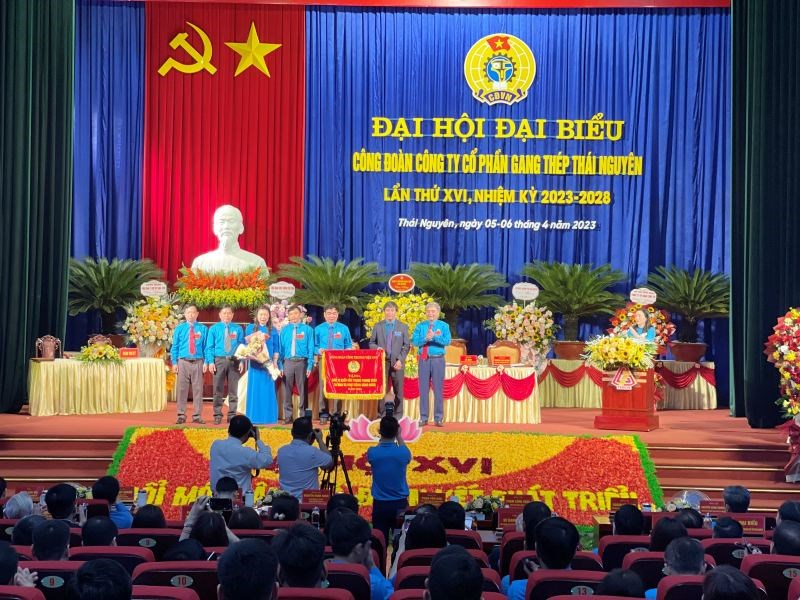 dai-hoigang-thep-tn2023-06-14161141