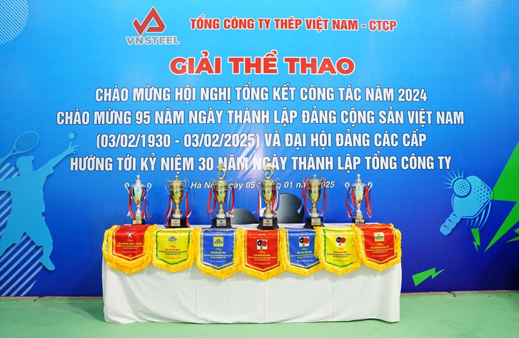 Giải Thể thao chào mừng Hội nghị tổng kết công tác năm 2024 của VNSTEEL