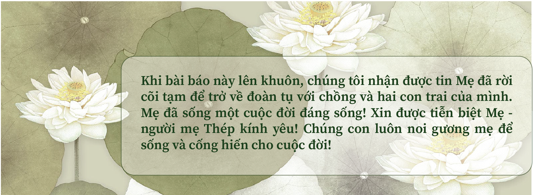 me-viet-nam-anh-hung-dang-thi-lot---nguoi-me-thep_680774eeb9ff0