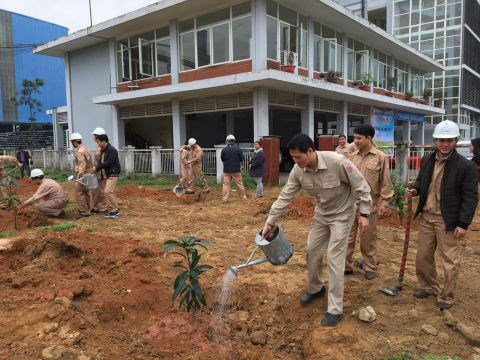 CÔNG TY TNHH KHOÁNG SẢN VÀ LUYỆN KIM VIỆT TRUNG: “Tết trồng cây nhớ Bác”