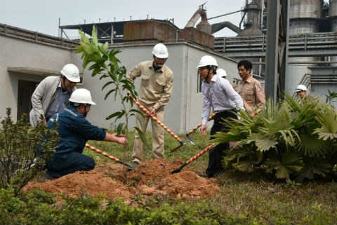 VNSTEEL PHÁT ĐỘNG LỄ TRỒNG CÂY “ Đời đời nhớ ơn Bác Hồ” tại Nhà máy Gang thép Lào Cai